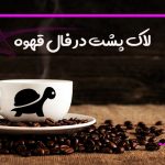 لاک پشت در فال قهوه