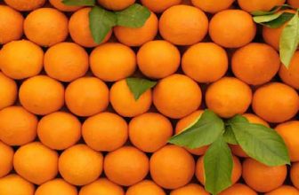 پرتقال و سرماخوردگی