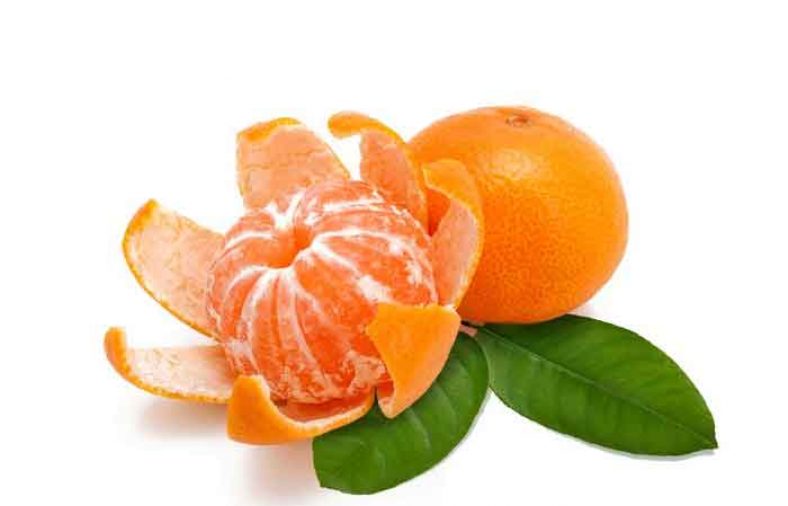 طبع نارنگی