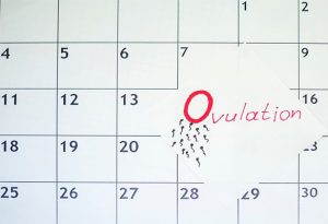 کیت تخمک گذاری برای دختردار شدن