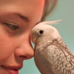 حرف زدن به عروس هلندی
