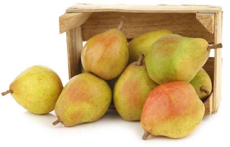 کالری گلابی