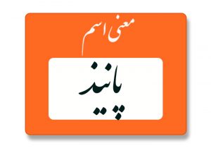 معنی اسم پانیذ