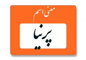 معنی اسم پرنیا