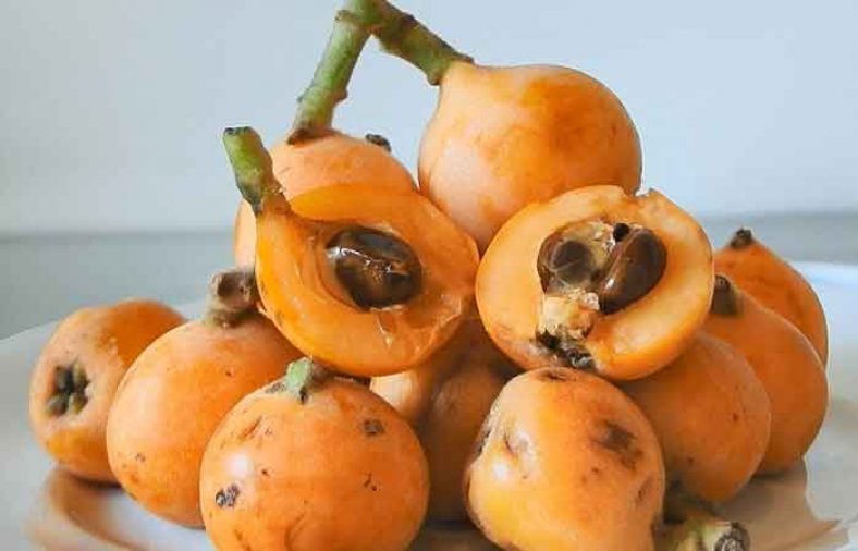 کالری ازگیل