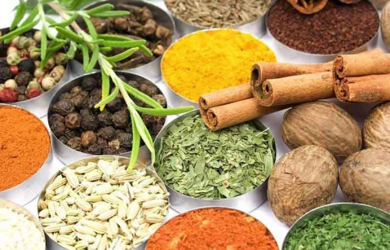 غذا برای طبع سرد