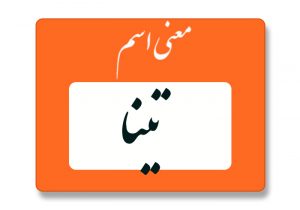 معنی اسم تینا