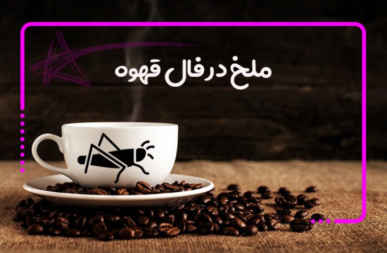 ملخ در فال قهوه
