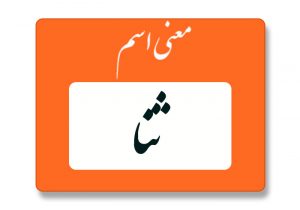 معنی اسم ثنا