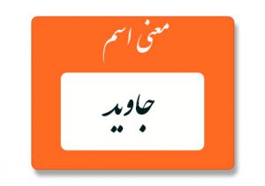 معنی اسم جاوید