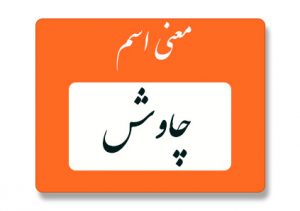 معنی اسم چاوش