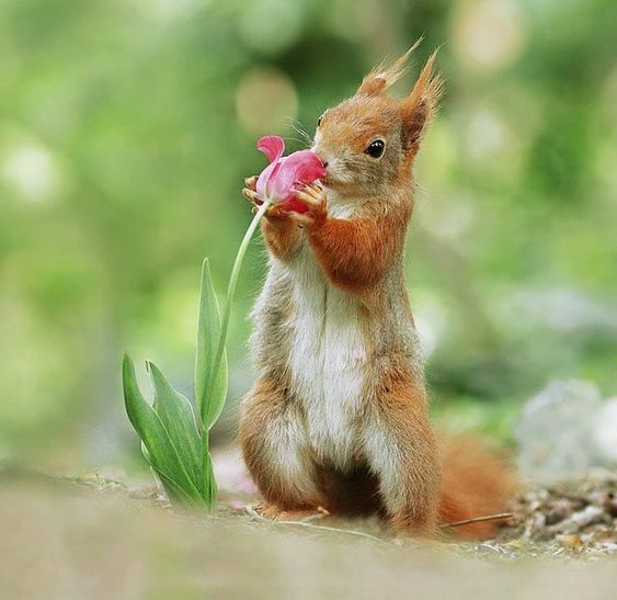 عکس انرژی مثبت بدون متن