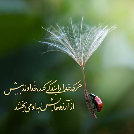 عکس انرژی مثبت بدون متن