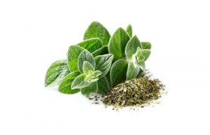 سبزی خالواش