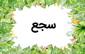 سجع در ادبیات