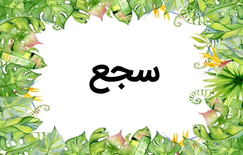 سجع در ادبیات