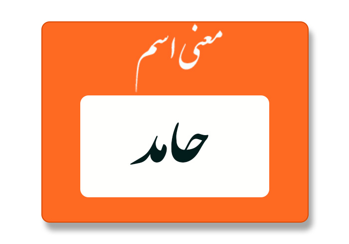 حامد