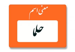 معنی اسم حلما