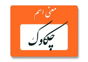 معنی اسم چکاوک
