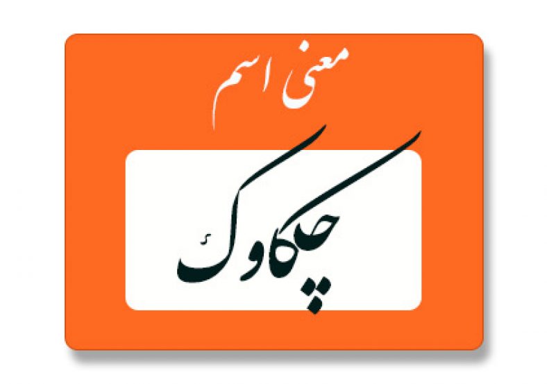 معنی اسم چکاوک