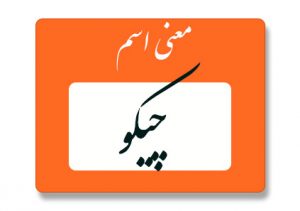 معنی اسم چیکو