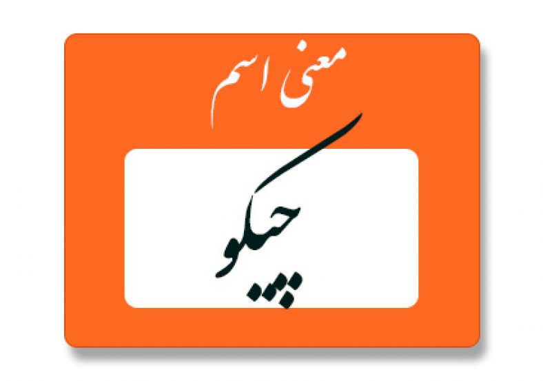 معنی اسم چیکو