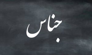 انواع جناس