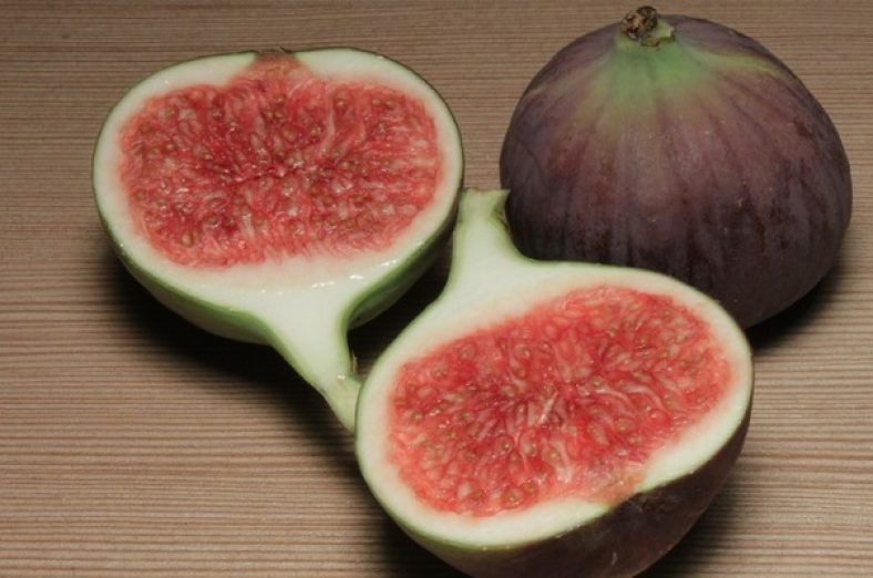 ماسک انجیر
