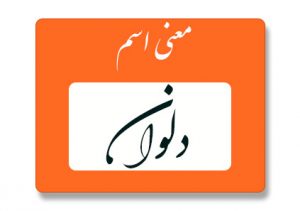 معنی اسم دلوان