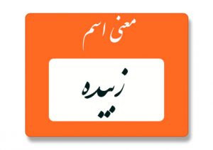 معنی اسم زبیده