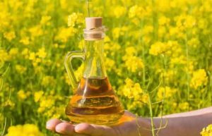 کالری روغن کانولا