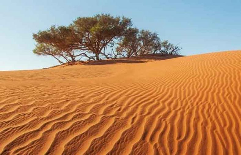 کویر ورزنه