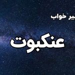 تعبیر خواب عنکبوت