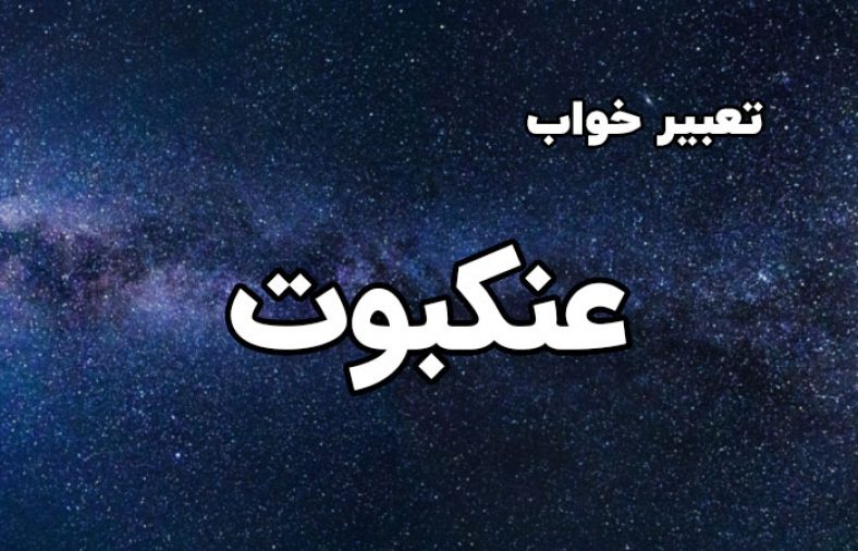 تعبیر خواب عنکبوت