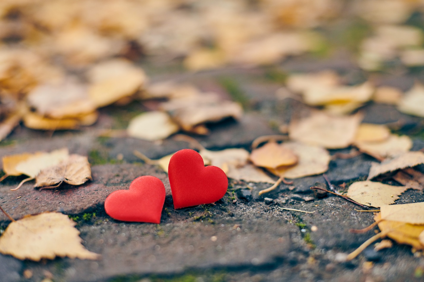 جملات عاشقانه ترکی