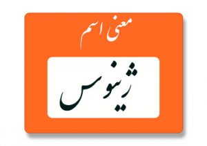 معنی اسم ژینوس