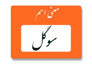 معنی اسم سوگل