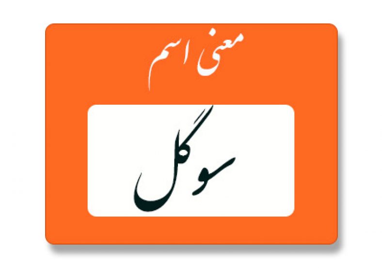 معنی اسم سوگل