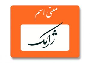 معنی اسم ژامک