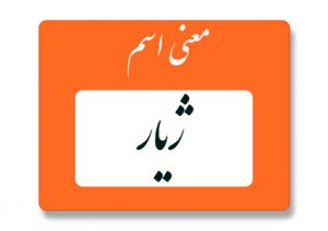 معنی اسم ژیار