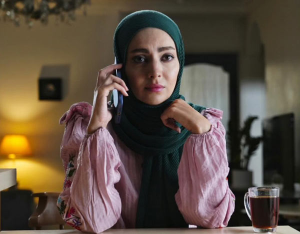 مهشید جوادی در سریال غریبه