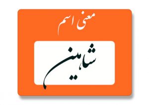 معنی اسم شاهین