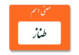 معنی اسم طناز