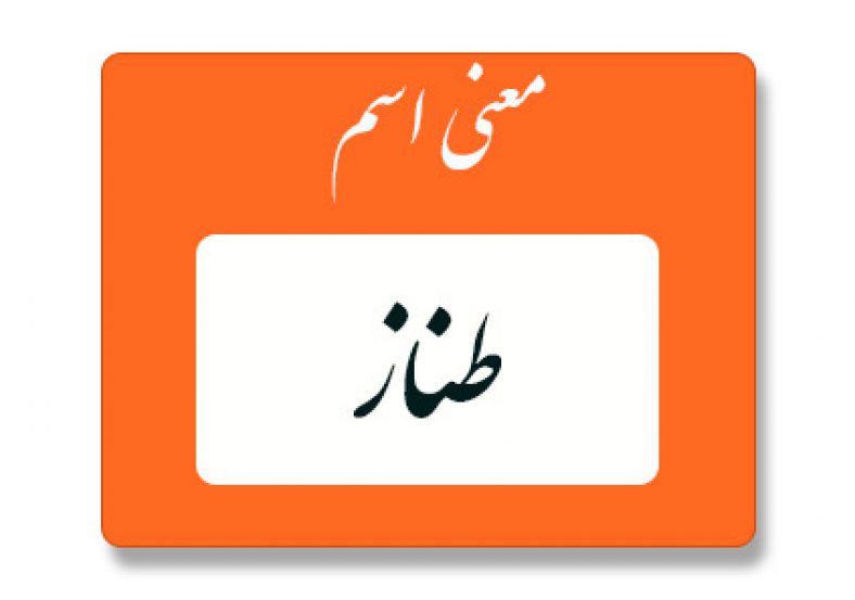 معنی اسم طناز