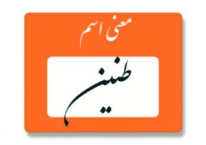معنی اسم طنین