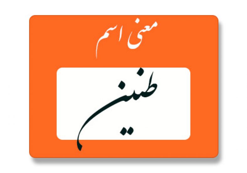 معنی اسم طنین