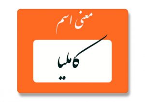 معنی اسم کاملیا