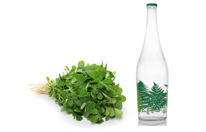 خواص عرق شنبلیله