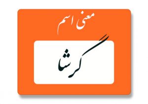 معنی اسم گرشا