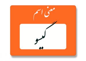 معنی اسم گیسو